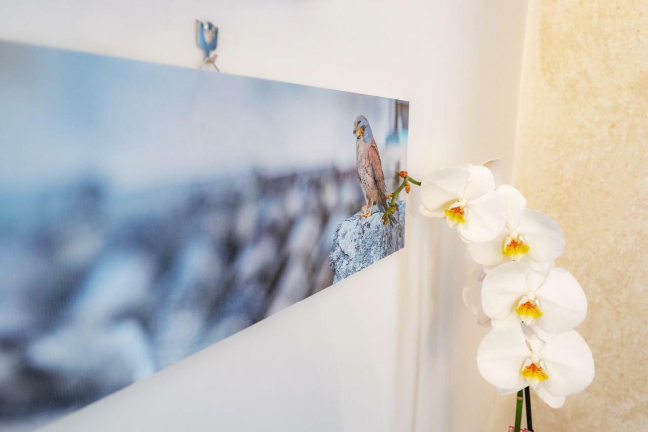 Il Nido Del Grillaio Suite & Appartament Matera Dış mekan fotoğraf